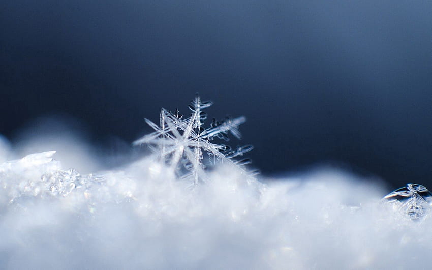 หิมะ มาโคร พื้นผิว เกล็ดหิมะ วอลล์เปเปอร์ HD