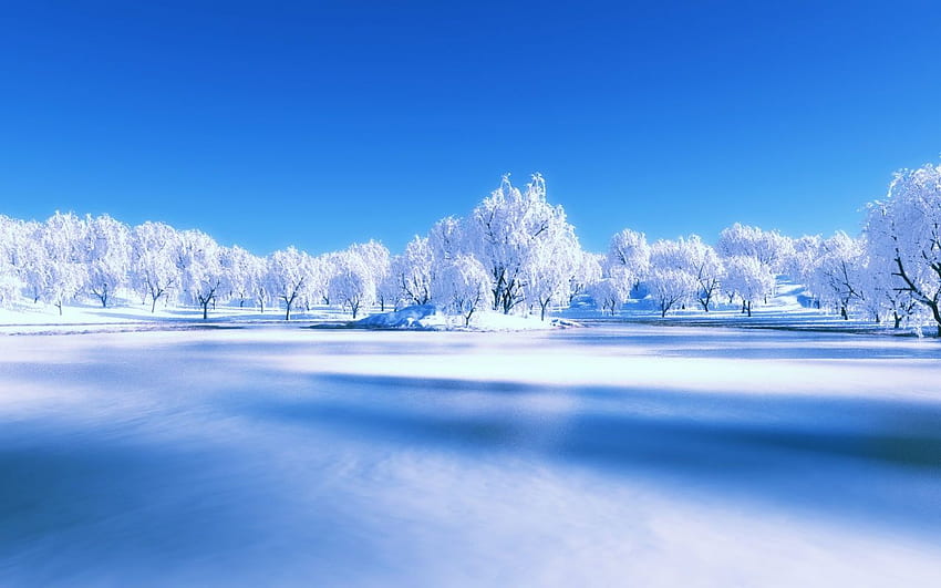 Winter Scenes Background 9 [] for your , Mobile & Tablet. Explore Winter Scenes . Winter , Winter for Computer Full Screen, Winter Scenery HD wallpaper