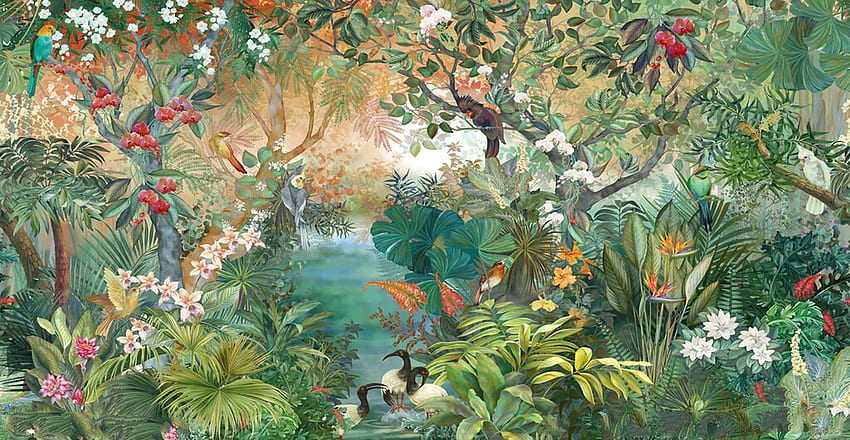 插图与海报, Animali della foresta pluviale tropicale Sfondo HD