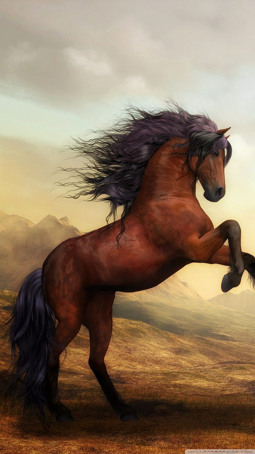 Beautiful Horse Phone - Horse For Mobile - & Background, Horse and Cat HD  phone wallpaper | Pxfuel