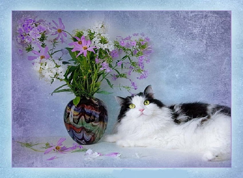 Beautiful, animal, colorful, white, black, vase, cat, fluffy, pansies, purple, daisy, flowers, lilac HD wallpaper