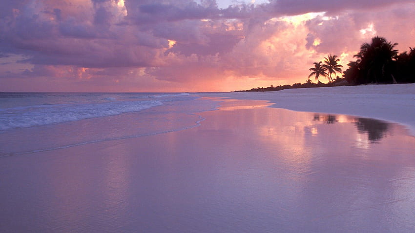 Zachód słońca na plaży . Piękna plaża, różowy zachód słońca na plaży Tapeta HD