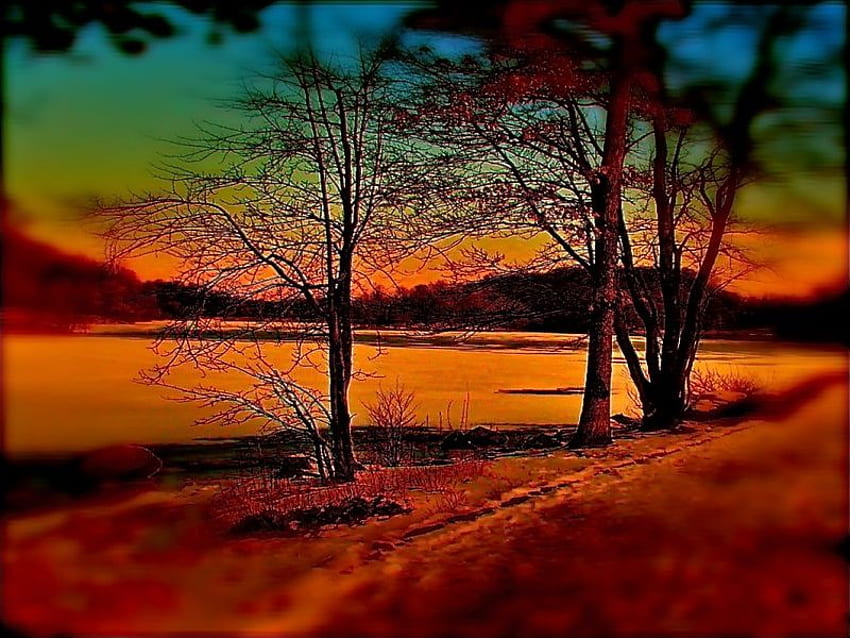 COLORFULL AUTUM, arbres, marron, couleurs, nature Fond d'écran HD