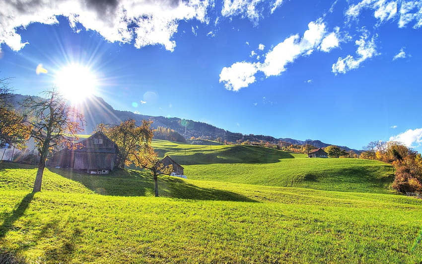 Bright Sunny Day - & Background HD wallpaper