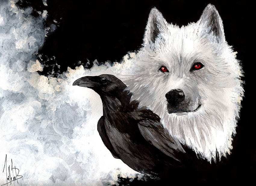 Direwolf . Direwolf, Game of Thrones Dire Wolf HD wallpaper
