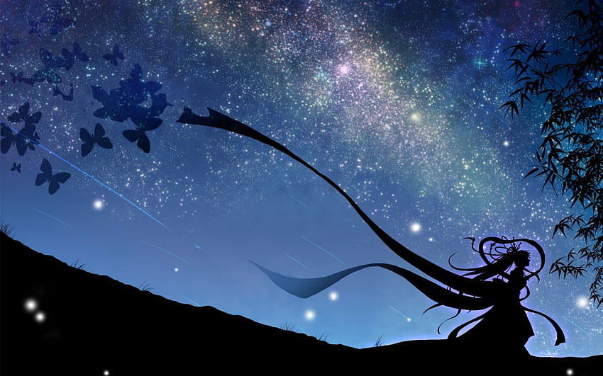Hime-sama, Nacht, fantastisch, Landschaft, Sterne, langes Haar, Schönheit, Anime-Mädchen, Schmetterlinge, Anime, Lichter, cool, Himmel, Prinzessin, weiblich HD-Hintergrundbild