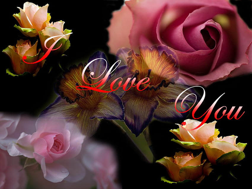 Обичам те, красива, аромат, цветя, любов HD тапет