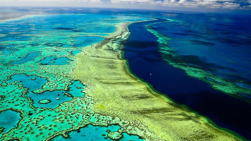 Great Barrier Reef HD wallpaper | Pxfuel