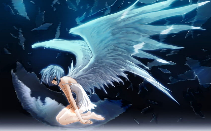 Animated Angel, Anime Birds HD wallpaper | Pxfuel