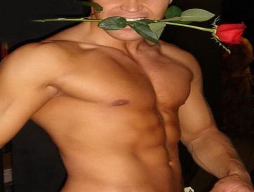 Happy Valentines day ladies, well built, rose in mouth, shirtless, man, red rose, valentines day HD wallpaper