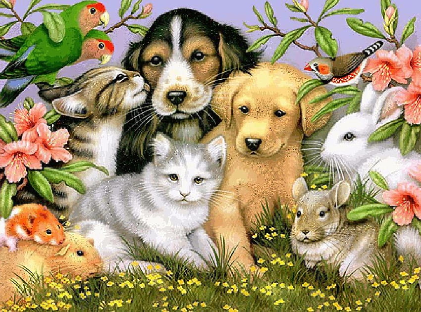 BEST BUDDIES, 개, 토끼, 고양이, 햄스터, 토끼 HD 월페이퍼