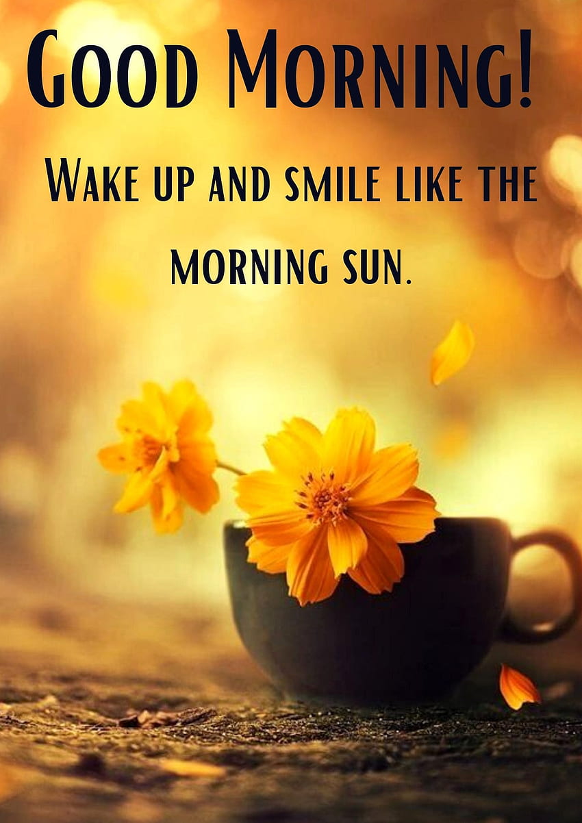 Como Dizer Good Morning My Beautiful Sunshine Em Francês, Good Morning Sunshine Papel de parede de celular HD