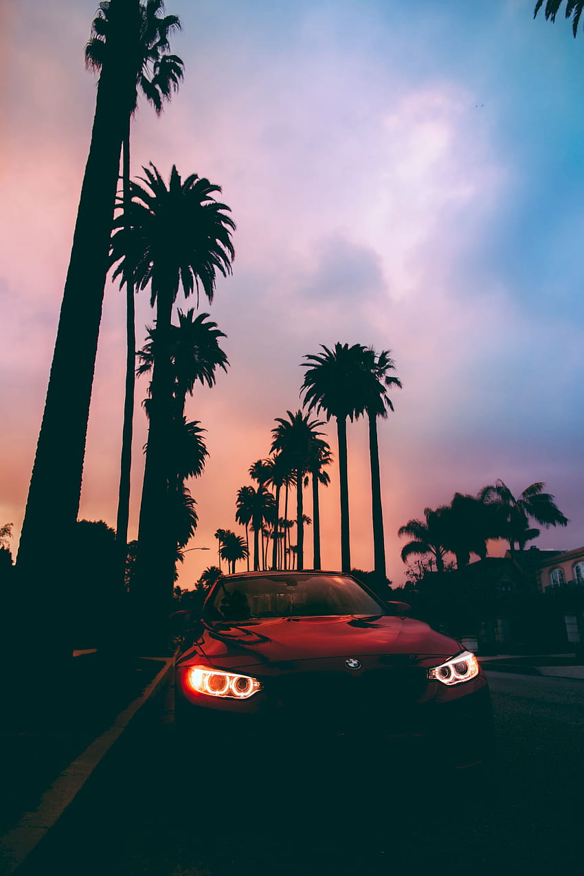 Bmw, Sunset, Palms, Cars, Front View, Bmw 3 HD phone wallpaper