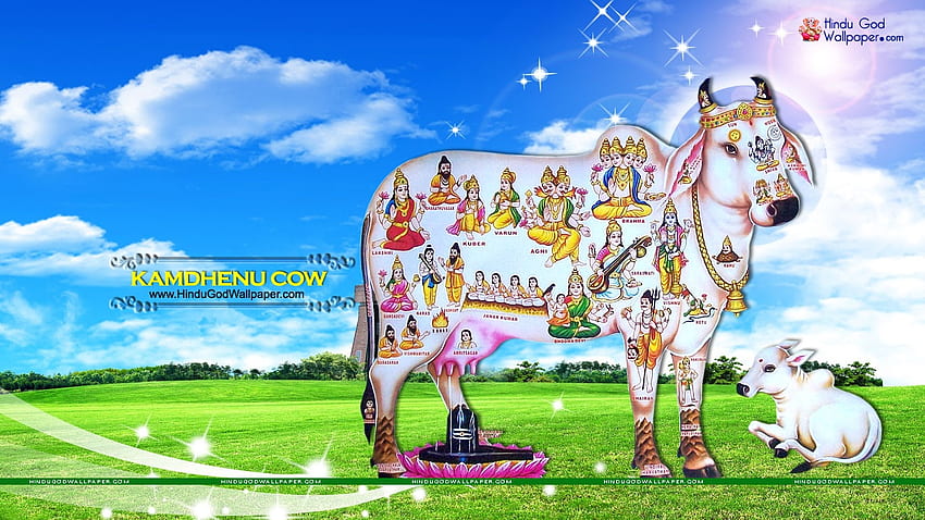 Pourquoi le Seigneur Krishna a-t-il choisi la vache comme l'un des animaux sacrés?, Krishna et la vache Fond d'écran HD