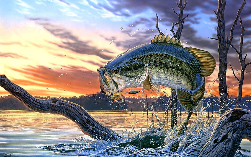 물고기의 저음. Largemouth Bass 낚시 배경, 어부 HD 월페이퍼