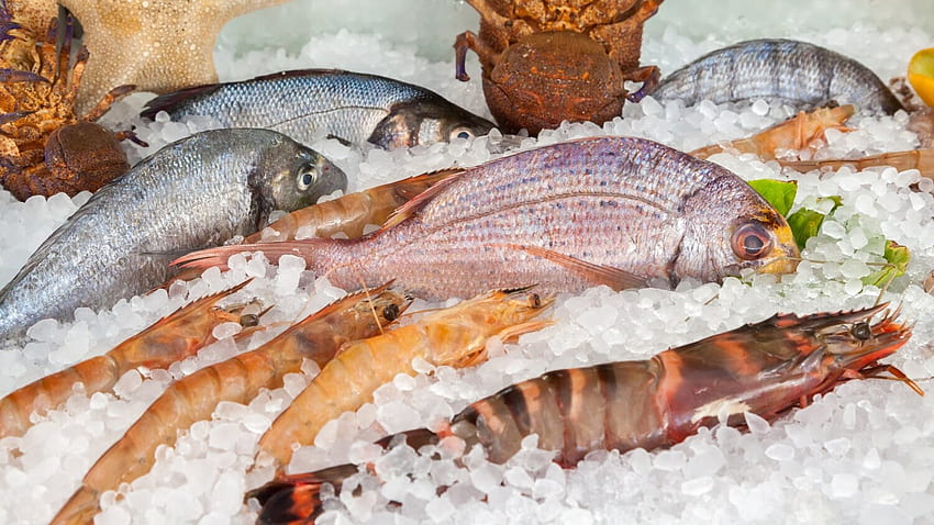 Yustan Meeresfrüchte, Fischmarkt HD-Hintergrundbild