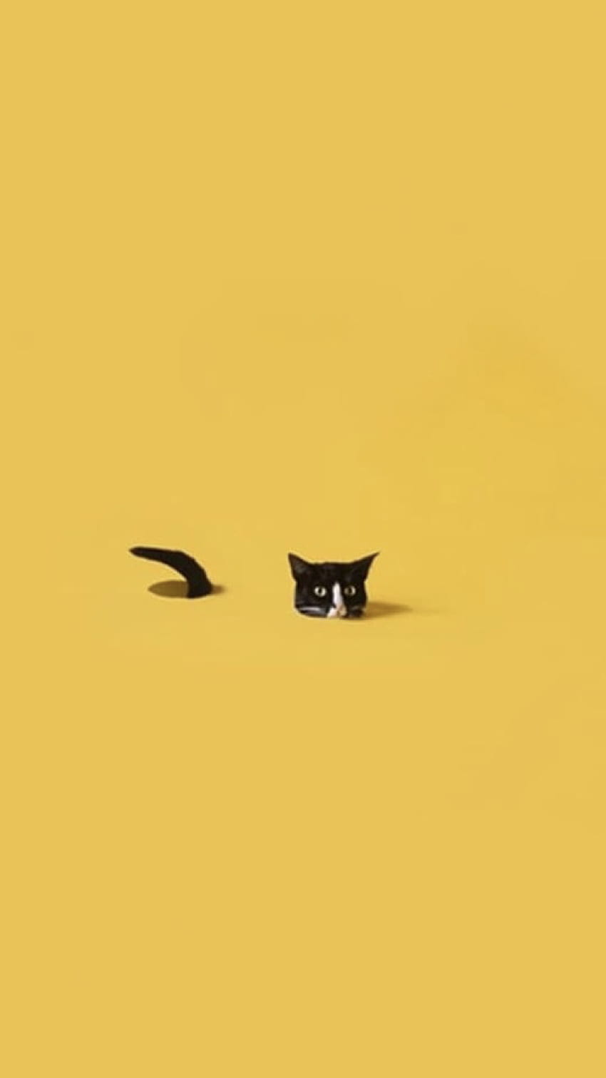 iPhone Black Cat Estetis, Estetika Kucing Hitam wallpaper ponsel HD