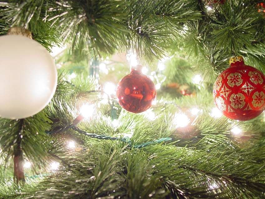 christmas tree lights, holidays, lights, christmas, trees, xmas HD wallpaper