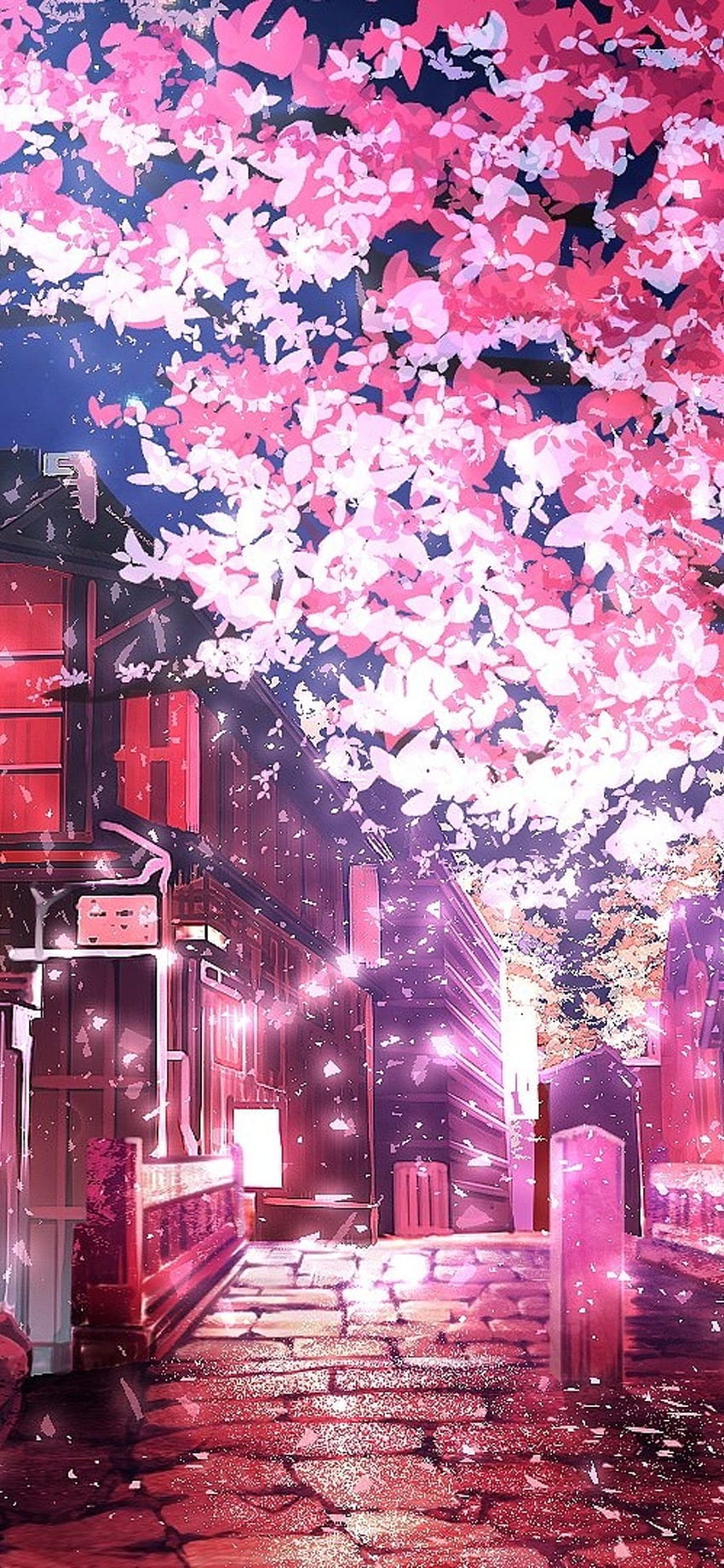 Kiraz Çiçeği Ağacı Anime, Gece Kiraz Çiçeği HD telefon duvar kağıdı