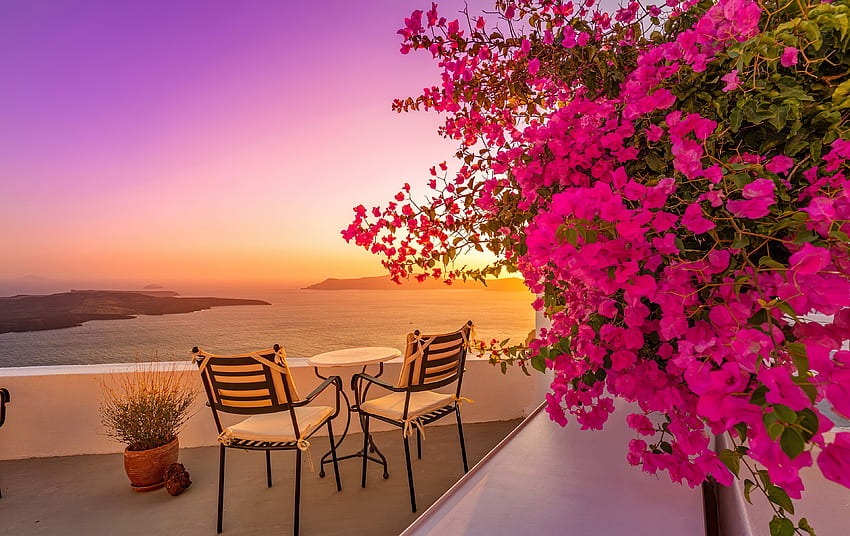 Beautiful sea sunset, sunset, sea, Greece, relax, romance, Bougainville, chairs, summer, rest, pink, view, flowers, sky, water HD wallpaper