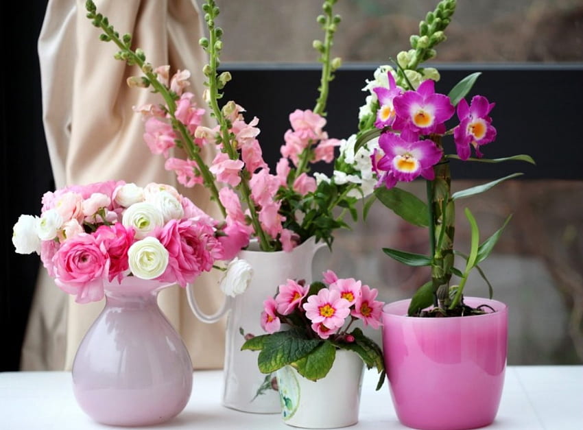Spring flowers, still life, flowers, spring, pots HD wallpaper