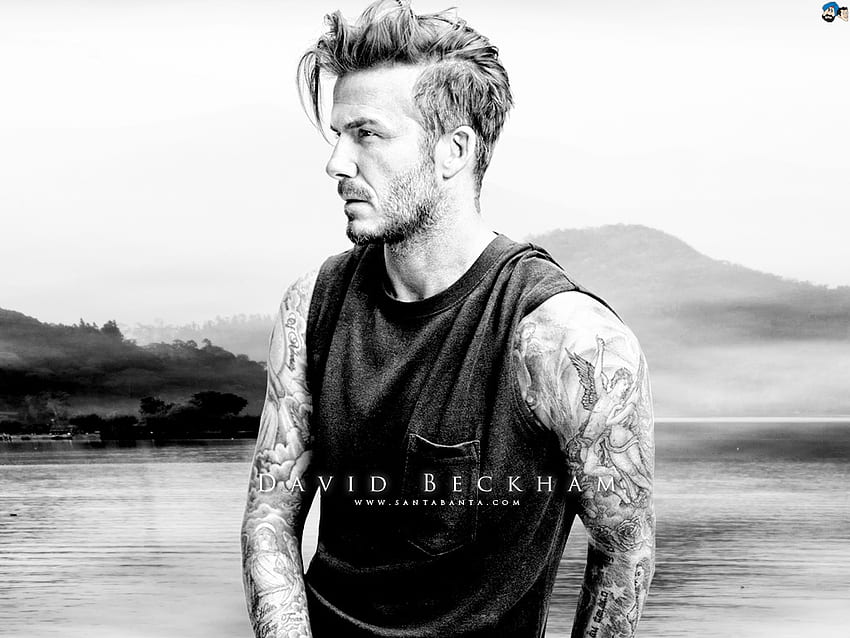 David Beckham David Beckham David Beckham Hd Wallpaper Pxfuel