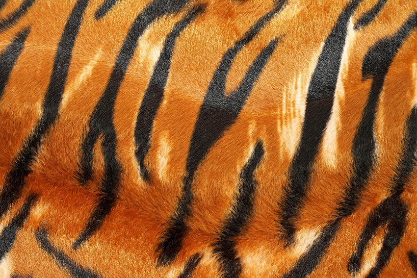Nice Tiger Pattern In . art inspo in 2019. Animal print, Animal Skin HD ...
