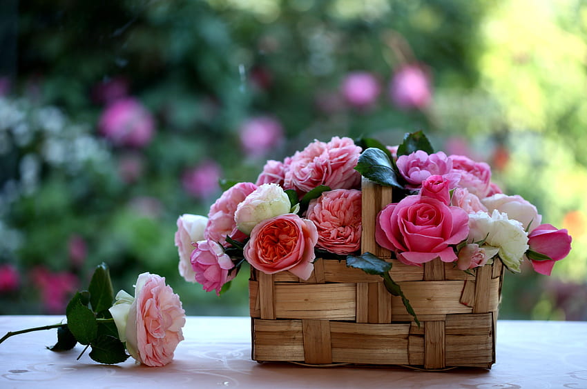 Flowers, Roses, Blur, Smooth, Buds, Basket HD wallpaper