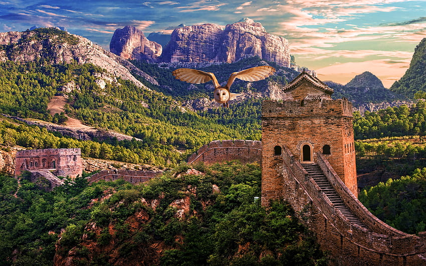 กำแพงเมืองจีน ฤดูร้อน ภูเขา สถานที่สำคัญของจีน นกฮูก เอเชีย จีน ธรรมชาติที่สวยงาม วอลล์เปเปอร์ HD