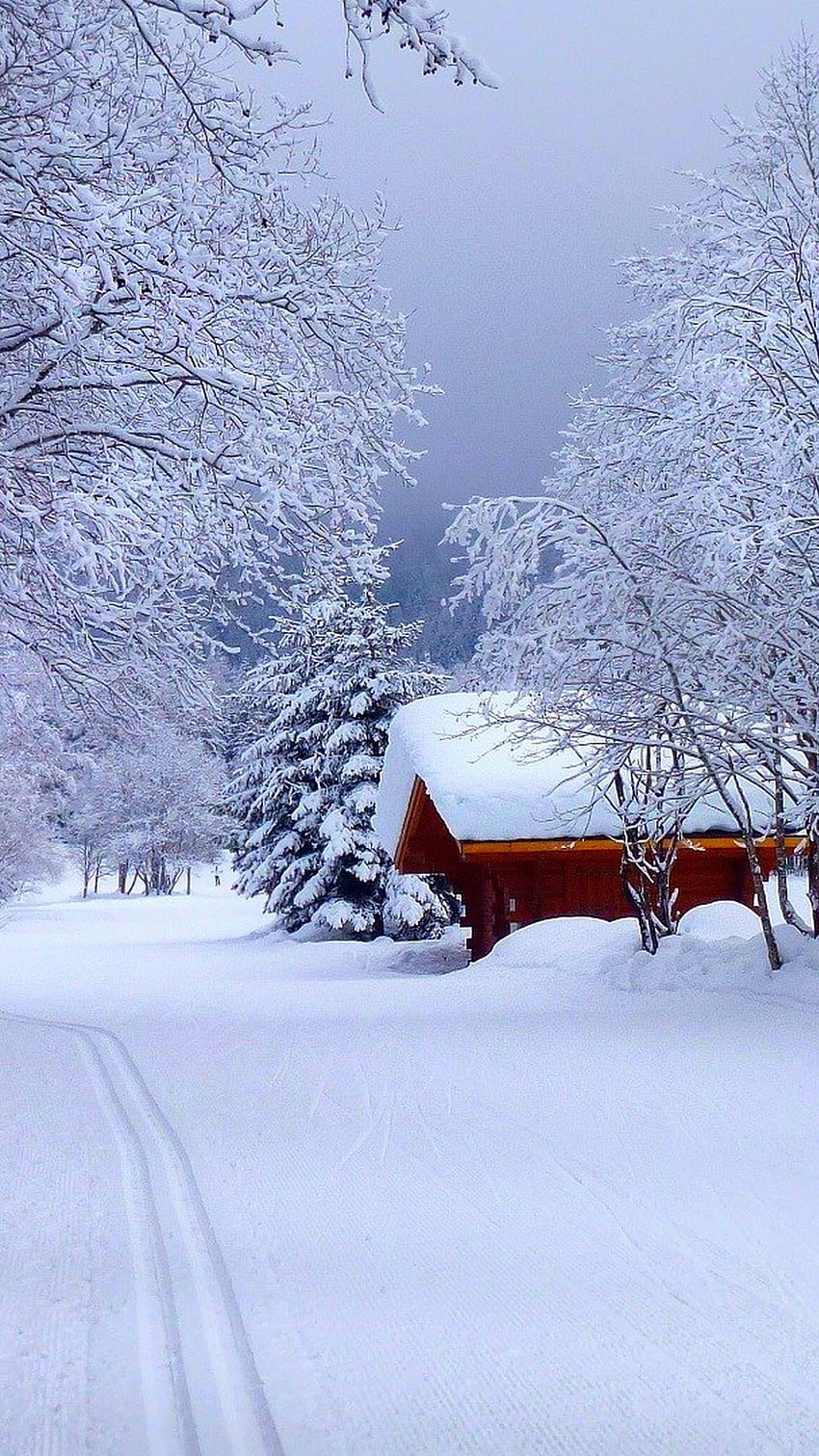 Snow Road House Ultra Net [ ] per il tuo cellulare e tablet. Esplora Neve. Skyrim , Erba, Inverno, 1080X1920 Neve Sfondo del telefono HD