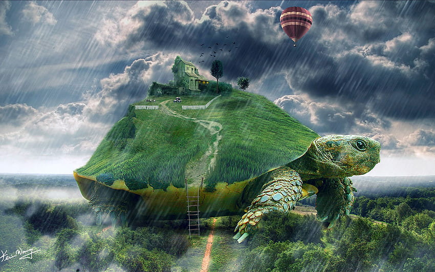 Ian Watson sur nur donc !!!. Tortue, Animaux, Art de la tortue Fond d'écran HD