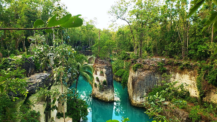 メキシコ、プラヤデルカルメン近くのジャングルの自然の水路、岩、ヤシの木、川、風景、木、空 高画質の壁紙