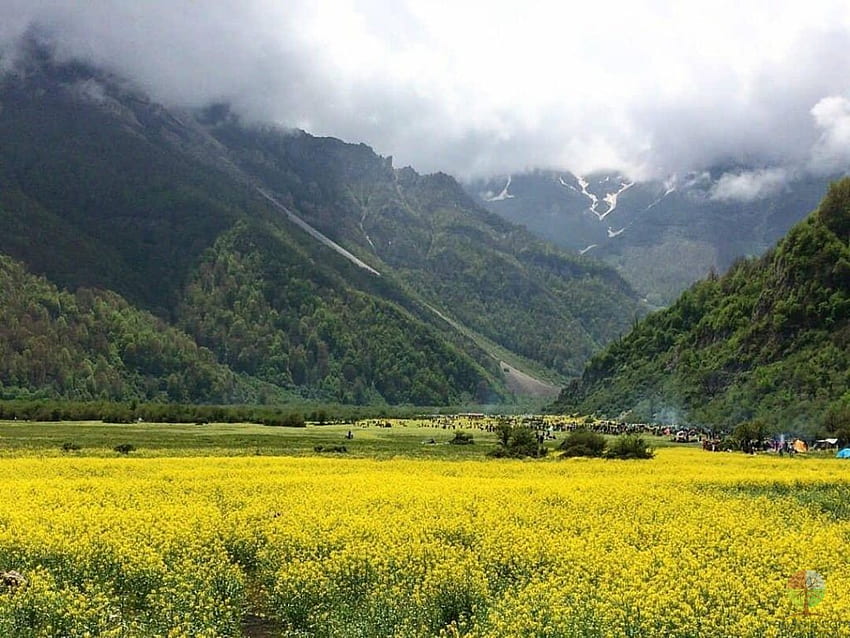 Berg Sialan - Iran Asien - Reisemagazin, Verzeichnis, Touren und Beratung, Mazandaran HD-Hintergrundbild