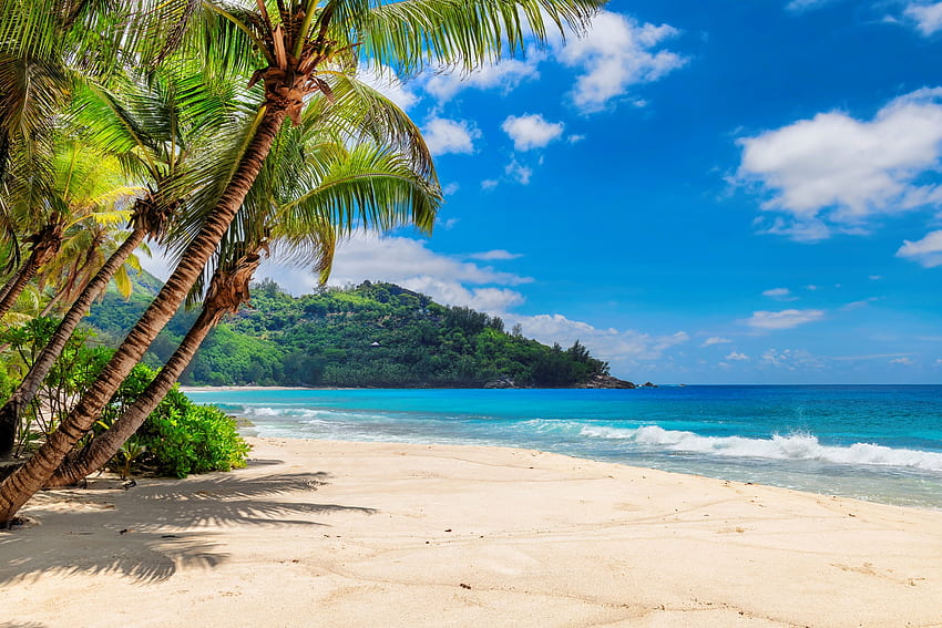 Tropical island, sea, palms, island, sand, tropics, paradise, beautiful, beach, vacation, summer, sky, sun, ocean HD wallpaper