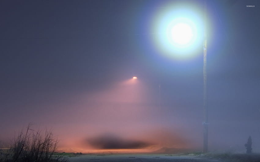 Street light above the foggy path - graphy HD wallpaper