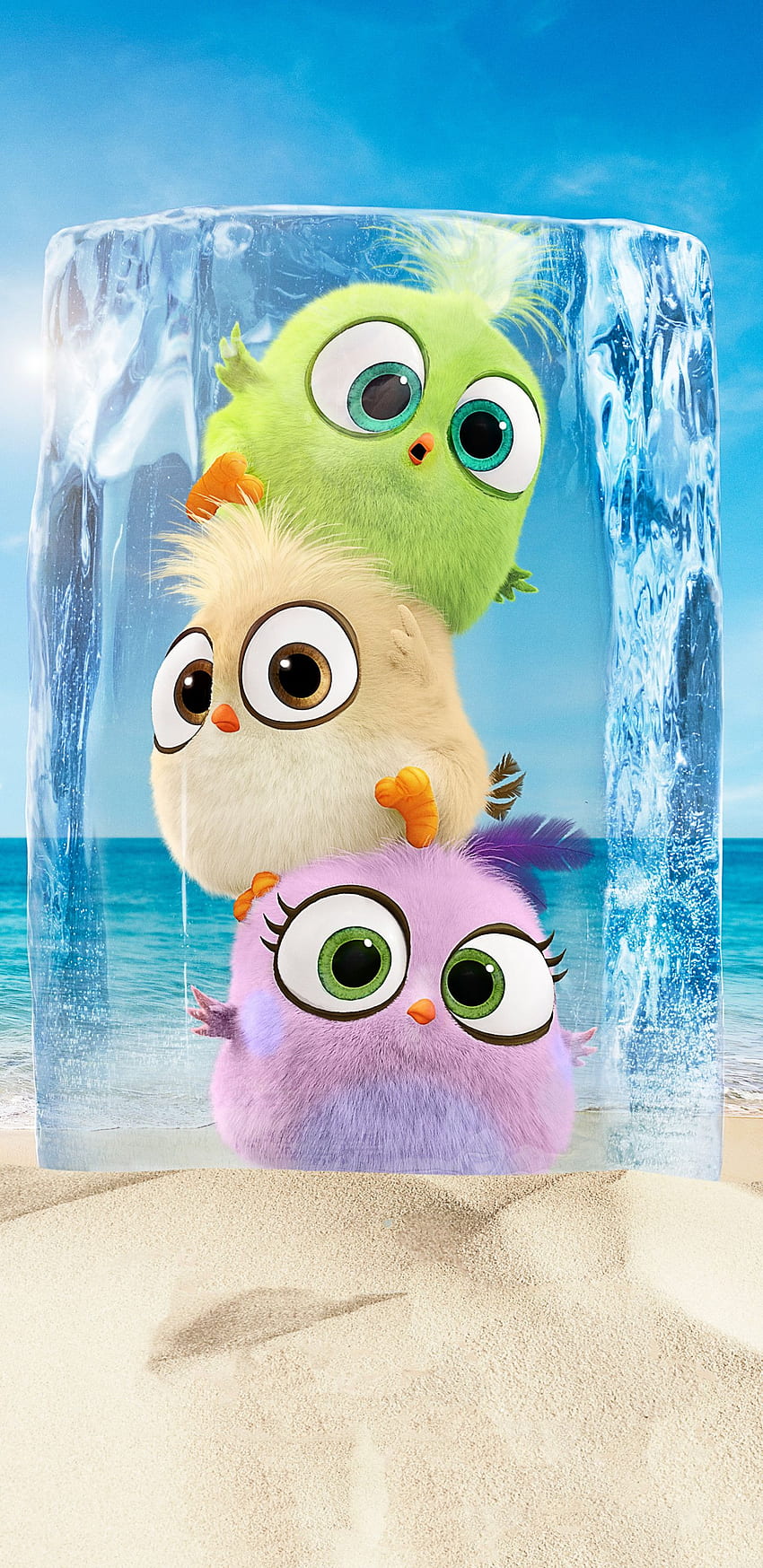 Angry Birds Movie 2 Samsung Galaxy Note 9, 8, S9, S8, SQ , , Background, and, Cute Angry Birdsの幼鳥 HD電話の壁紙