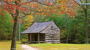 ID: 238299 / spooky abandoned cabin on the woods on a dark stormy night ...