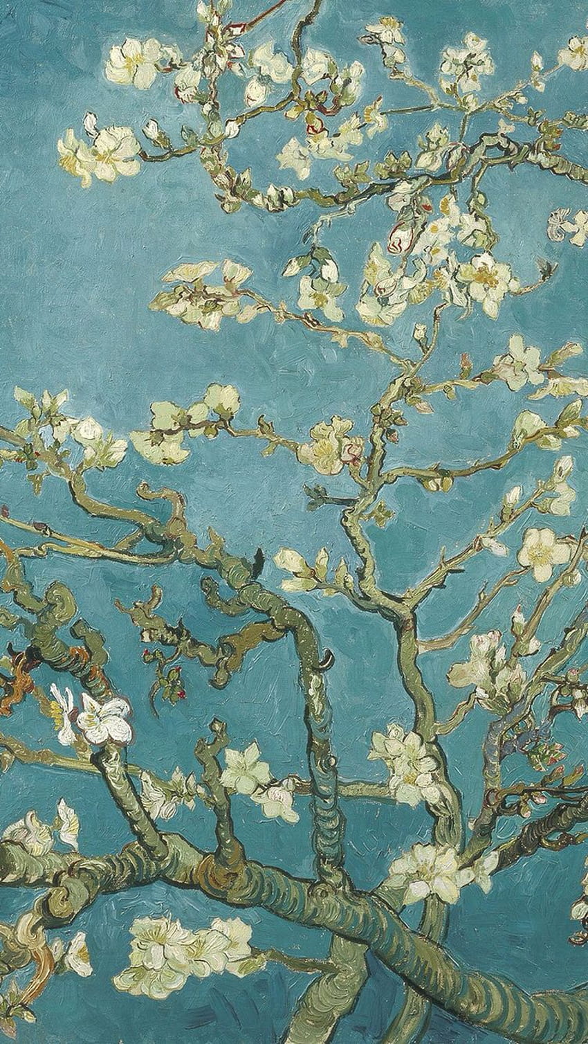 Van Goghs Gemälde im iPhone. Es ist Van Gogh, Van-Gogh-Baum HD-Handy-Hintergrundbild
