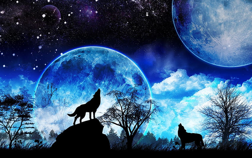 Wilk wyjący do księżyca, niebieski księżyc i wilk Tapeta HD