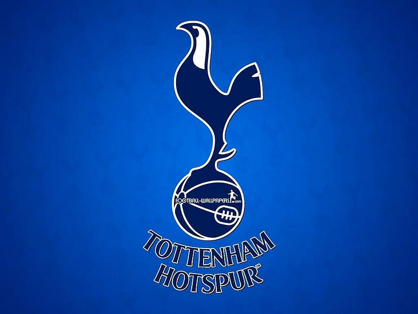 Tottenham Hotspur New tottenham Football Club Hotspur Logo Of the Day -  Left of The Hudson, Tottenham Players HD wallpaper | Pxfuel