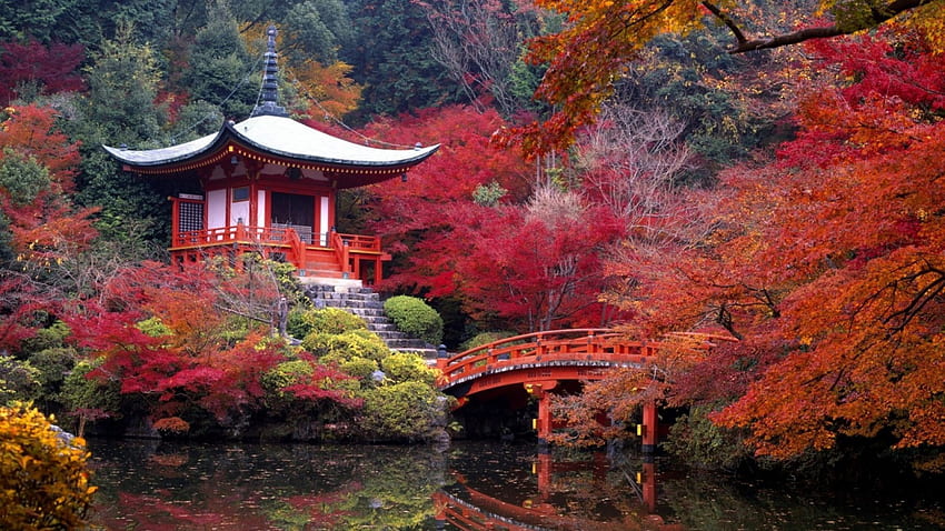 Pagoda de otoño, Japón, grafía, Lago, puente, Otoño fondo de pantalla