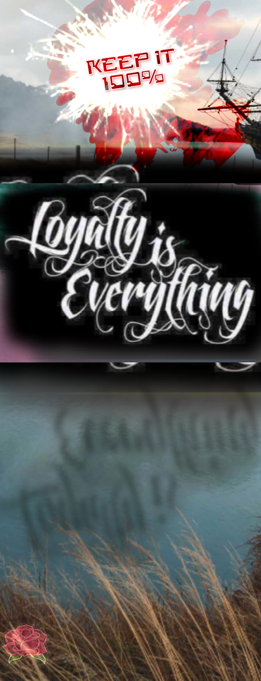 Download Hashtag Loyal Wallpaper | Wallpapers.com