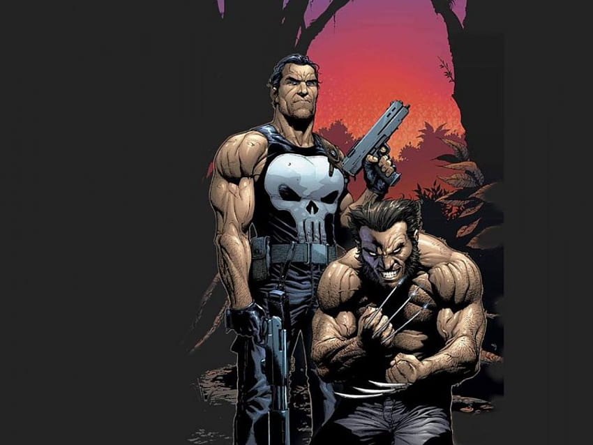 Punisher & Wolverine, wolverine, comic, punisher HD wallpaper
