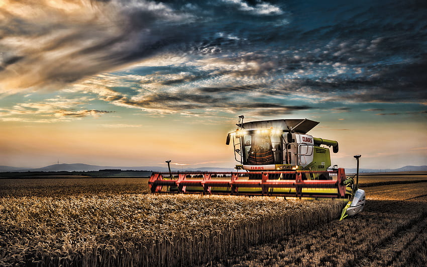 CLAAS Lexion 670, реколта пшеница, 2019 г. комбайни​, селскостопанска техника, R, прибиране на зърно, зърнокомбайн, Комбайн​ на полето, земеделие, CLAAS за с резолюция . Високо качество HD тапет