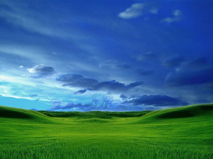 青い空、緑の牧草地 高画質の壁紙