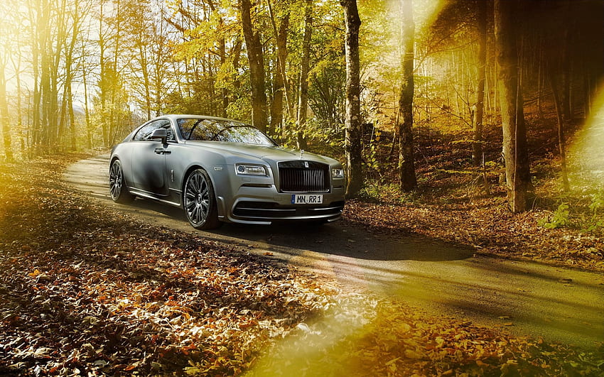 Autumn, Rolls-Royce, Cars, Park, Side View, Silver, Silvery, Wraith, Spofec HD wallpaper