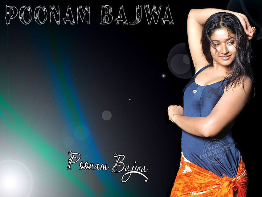 Famous Celebrity Poonam Bajwa - HD wallpaper