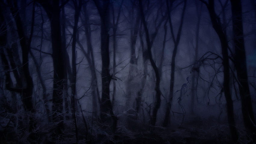 Misty Forest Cartoon - Nature, Dark Misty Forest HD wallpaper