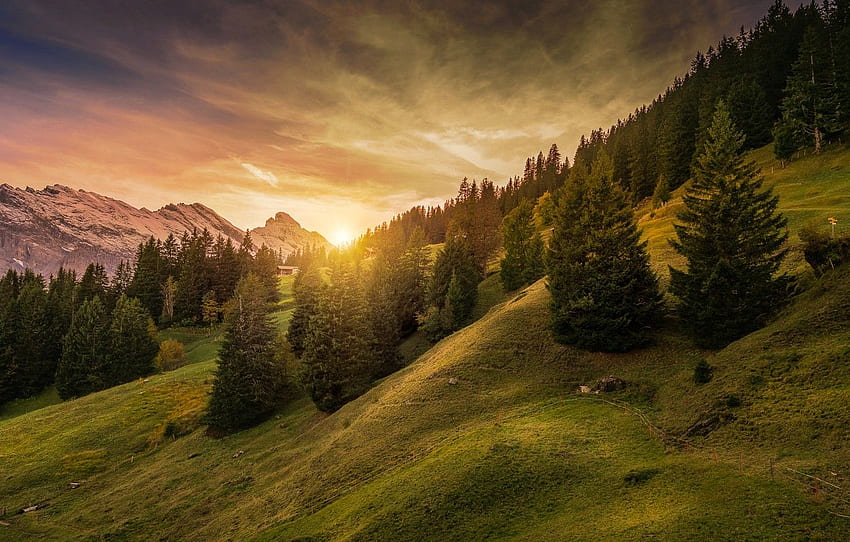 hutan, langit, matahari, pohon, pegunungan, Swiss, lereng, Pegunungan Alpen, rumah, Lauterbrunnen, Mürren untuk , bagian пейзажи -, Murren Swiss Wallpaper HD