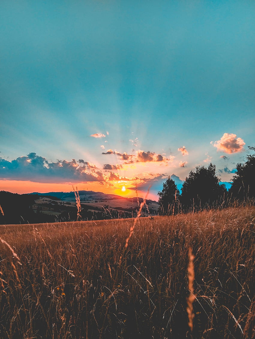 Nature, Sunset, Grass, Sky, Clouds, Field HD phone wallpaper